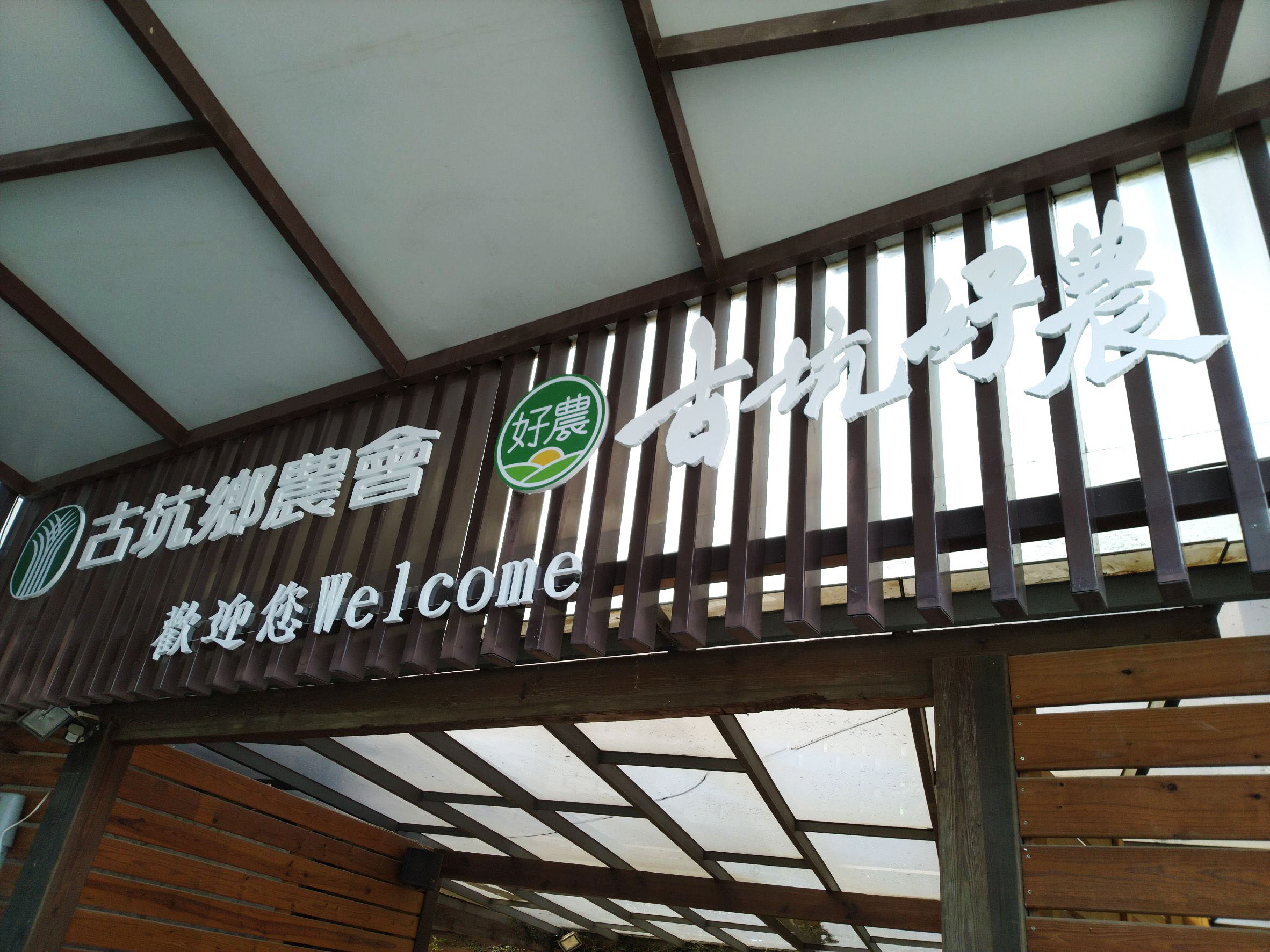 圖片3